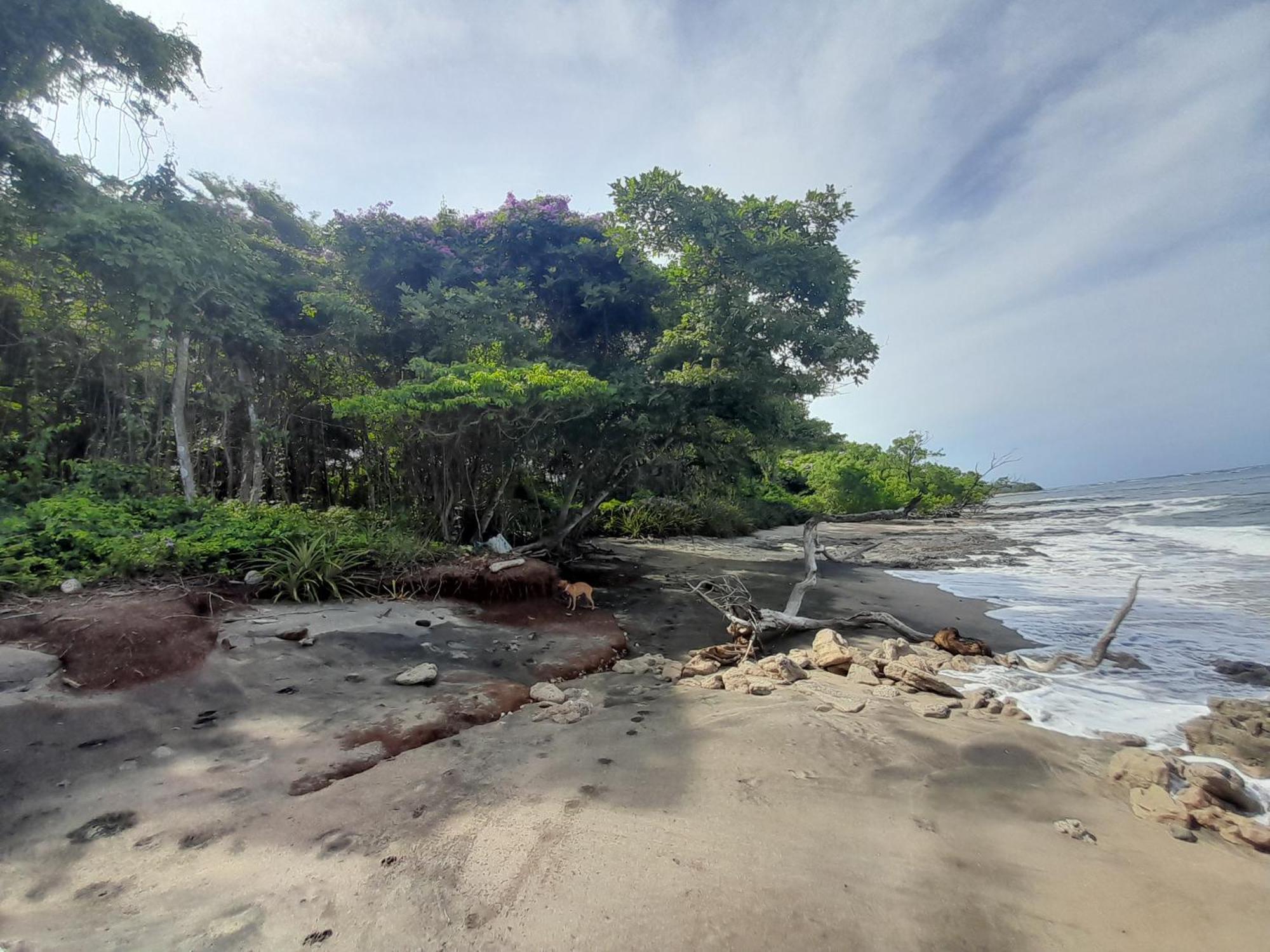Hotel Cabinas La Playa Плайя-Авельяна Экстерьер фото